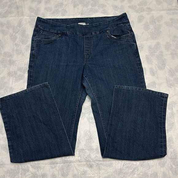 Blueberry women’s denim jeans with elastic waist size 16W - Picture 2 of 9